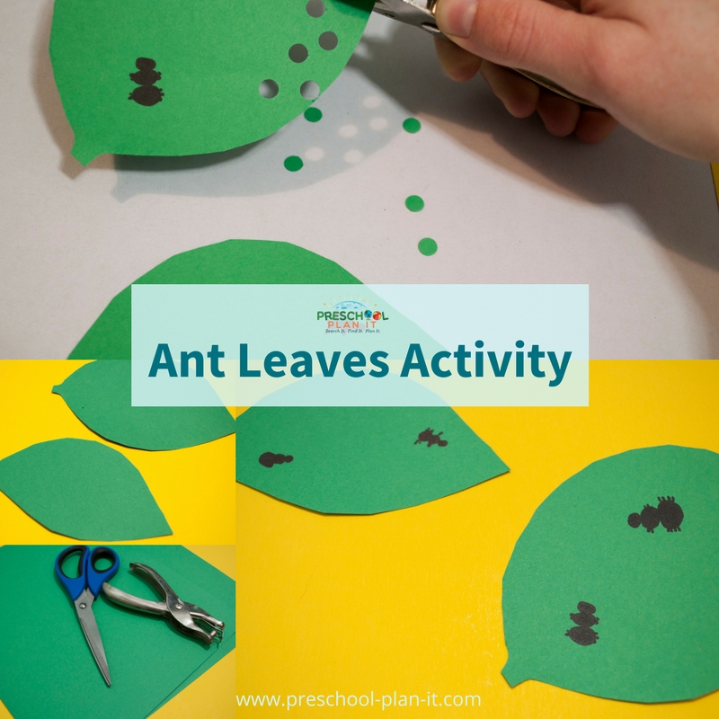 Download Bugs and Insects Preschool Theme