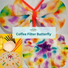 caterpillars and butterflies preschool theme