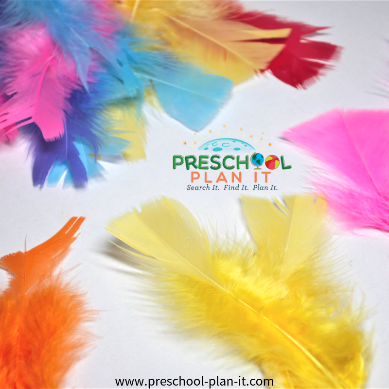 Clasificación de plumas para un tema de pájaros en preescolar