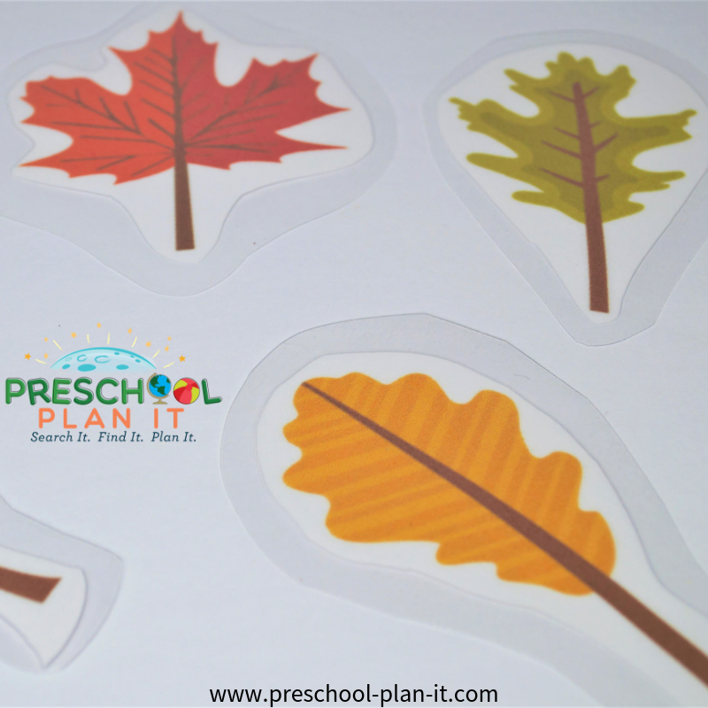 Download Fall Leaves Preschool Theme for Your Preschool Classroom