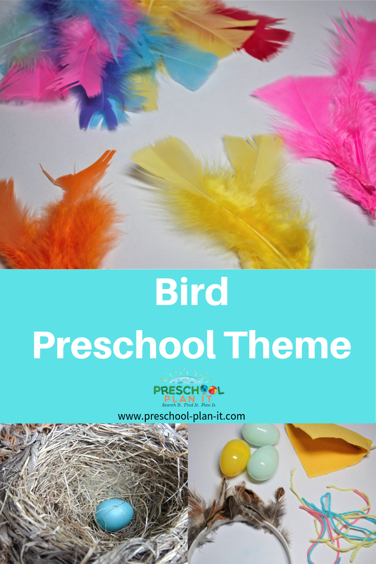 Tema de pájaros para preescolares