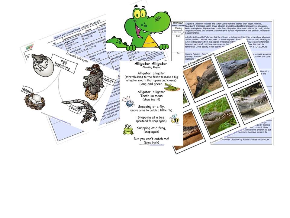 alligators resource banner image