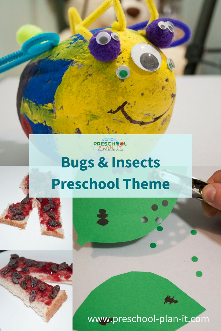 Bugs And Insects Preschool Theme